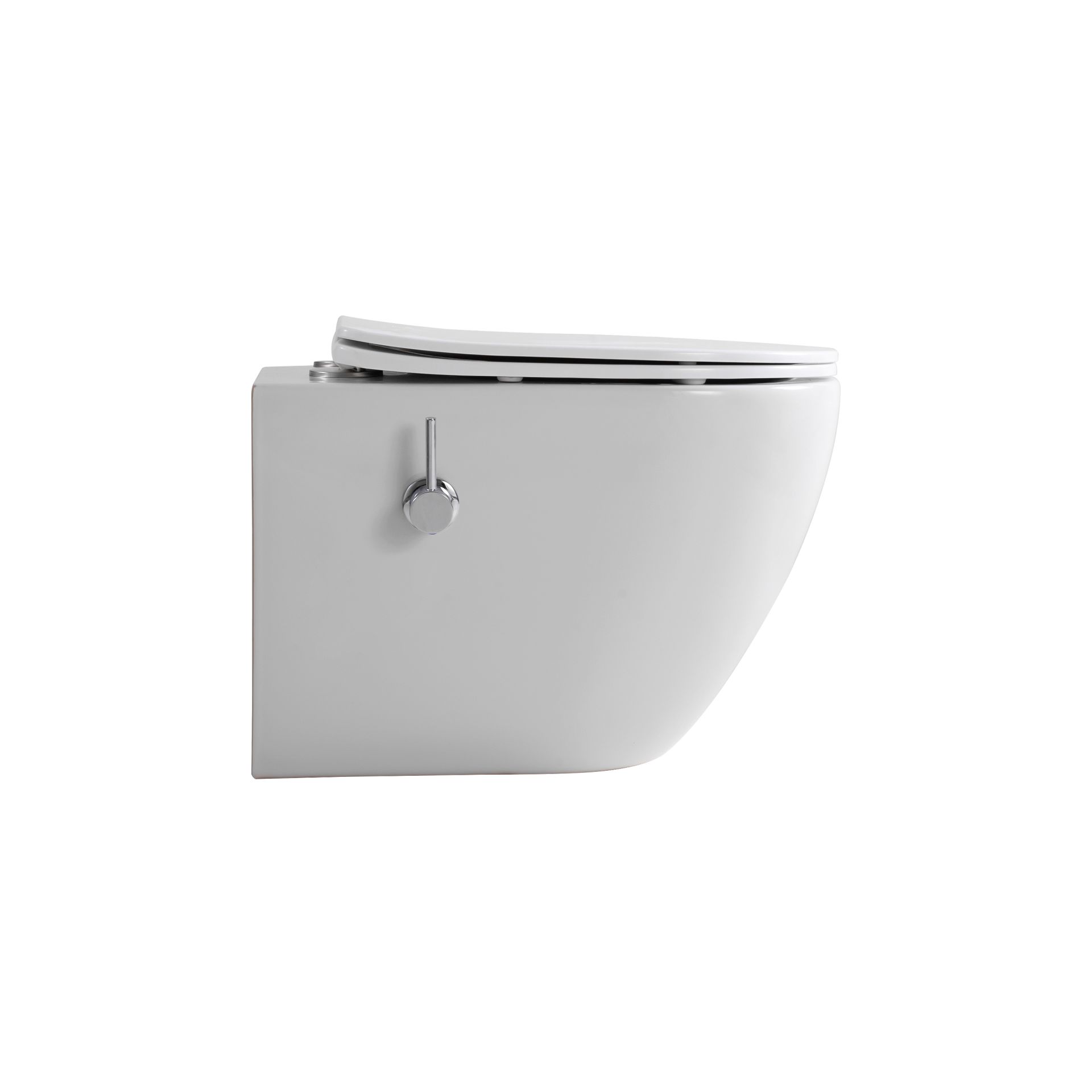 wandcloset met bidet